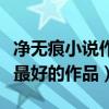 凈無痕小說作品推薦（凈無痕小說排行凈無痕最好的作品）