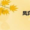 鳳弈（關于鳳弈的介紹）