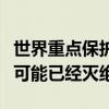 世界重點保護動物（十大最為瀕危的動物榜首可能已經滅絕）