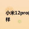 小米12pro的拍照怎么樣 小米12S拍照怎么樣 