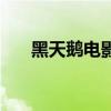 黑天鵝電影（關于黑天鵝電影的介紹）