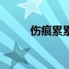 傷痕累累（關于傷痕累累的介紹）