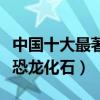 中國十大最著名的恐龍化石（中國知名的十個恐龍化石）