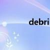debris（關于debris的介紹）