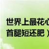 世界上最花心的鳥（十大一夫多妻制的鳥類榜首腿短還肥）