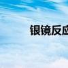 銀鏡反應（關于銀鏡反應的介紹）