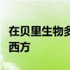 在貝里生物多樣性保護中心禮堂舉行懷俄明與西方