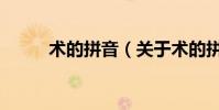 術的拼音(關于術的拼音的介紹)