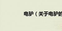 電驢(關于電驢的介紹)