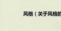 風格(關于風格的介紹)