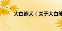大白熊犬(關于大白熊犬的介紹)