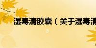濕毒清膠囊(關于濕毒清膠囊的介紹)