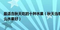 最適合秋天吃的十種水果(秋天當季的水果有哪些秋天吃什么水果好)