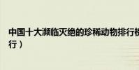 中國十大瀕臨滅絕的珍稀動物排行榜(中國瀕危珍稀動物排行)