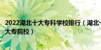 2022湖北十大專科學校排行(湖北十大高職高專湖北最好的大專院校)