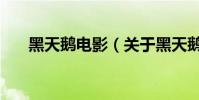 黑天鵝電影(關于黑天鵝電影的介紹)