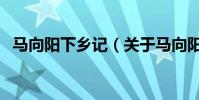馬向陽下鄉記(關于馬向陽下鄉記的介紹)