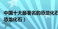 中國十大最著名的恐龍化石(中國知名的十個恐龍化石)