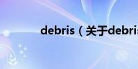 debris(關于debris的介紹)
