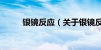銀鏡反應(關于銀鏡反應的介紹)