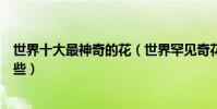 世界十大最神奇的花(世界罕見奇花大自然最奇特的花有哪些)
