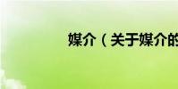 媒介(關于媒介的介紹)