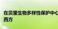 在貝里生物多樣性保護中心禮堂舉行懷俄明與西方