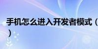 手機怎么進入開發者模式(手機怎么進行殺毒)