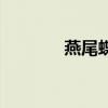 燕尾蝶（關于燕尾蝶的介紹）