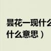 曇花一現什么意思現在多比喻什么（曇花一現什么意思）
