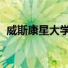 威斯康星大學美術館將承辦懷俄明州的巖石