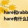hare和rabbit有什么不同之處如題（rabbit/hare有什么區別）