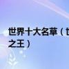 世界十大名草（世界有名的草本植物有哪些人參被視為百草之王）