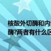 核酸外切酶和內切酶（什么是核酸內切酶?什么是核酸外切酶?兩者有什么區別?介紹請詳細一些.）