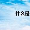 什么是天賦（什么是天體系統）