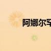 阿娜爾罕（關于阿娜爾罕的介紹）