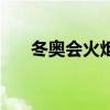 冬奧會火炬（關于冬奧會火炬的介紹）