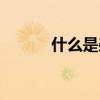 什么是雜牌（什么是雜糧雜豆）