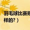 羽毛球比賽規則界限（羽毛球的界限規則是怎樣的?）
