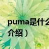 puma是什么牌子（關于puma是什么牌子的介紹）