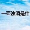 一壺濁酒是什么意思（一壺濁酒是什么意思）