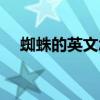 蜘蛛的英文怎么說（蜘蛛的英文怎么說）