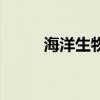 海洋生物（關于海洋生物的介紹）