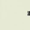 潼（關于潼的介紹）