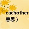eachother是啥意思（eachother中文什么意思）