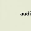 audit（關于audit的介紹）