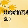娃哈哈格瓦斯是什么味道（娃哈哈格瓦斯是什么）