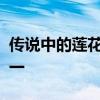 傳說中的蓮花七號是有史以來最知名的汽車之一