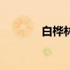 白樺林（關于白樺林的介紹）