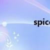 spice（關于spice的介紹）